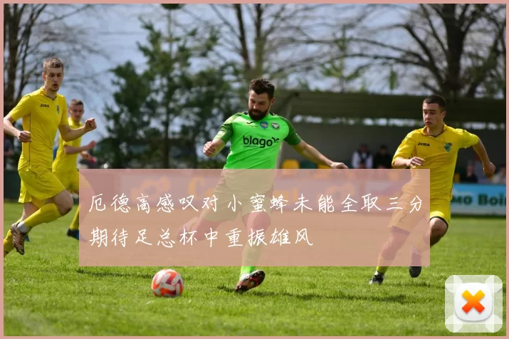厄德高感叹对小蜜蜂未能全取三分期待足总杯中重振雄风