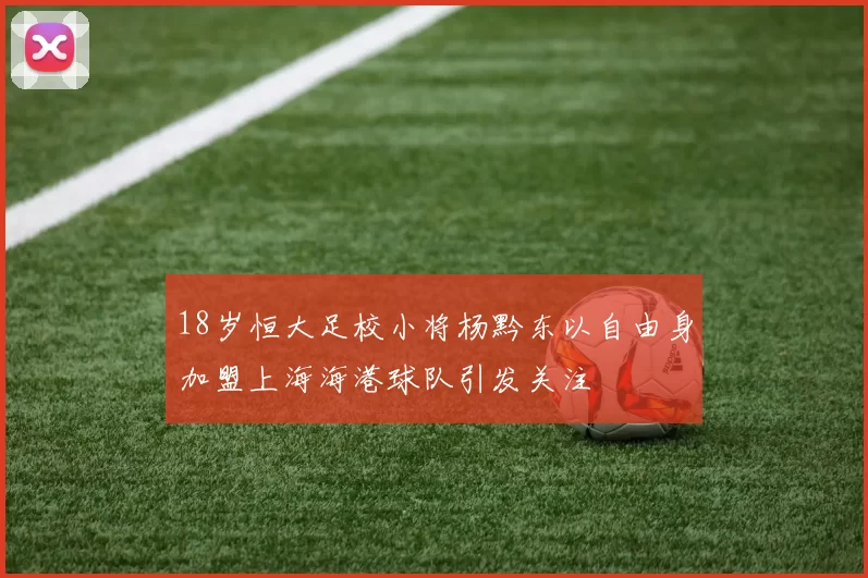 18岁恒大足校小将杨黔东以自由身加盟上海海港球队引发关注